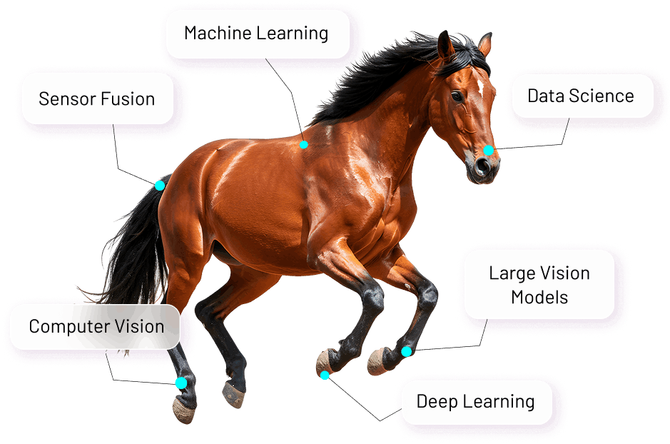 an image of a horse with points about technology written on various parts: sensor fusion, machine learning, computer vision, deep learning, large language models and data science.
